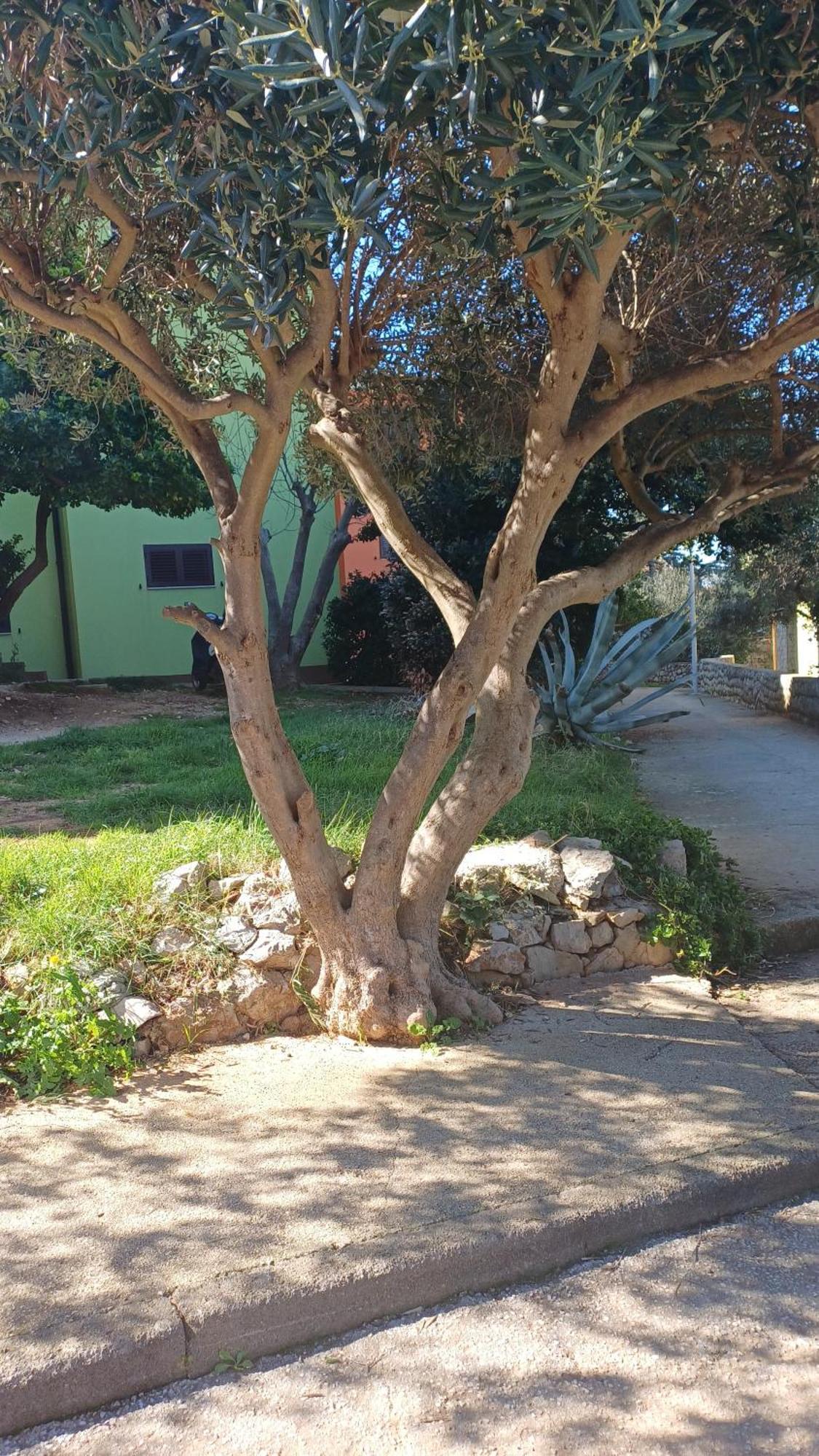 Appartamento Dairos2 Mali Lošinj Esterno foto