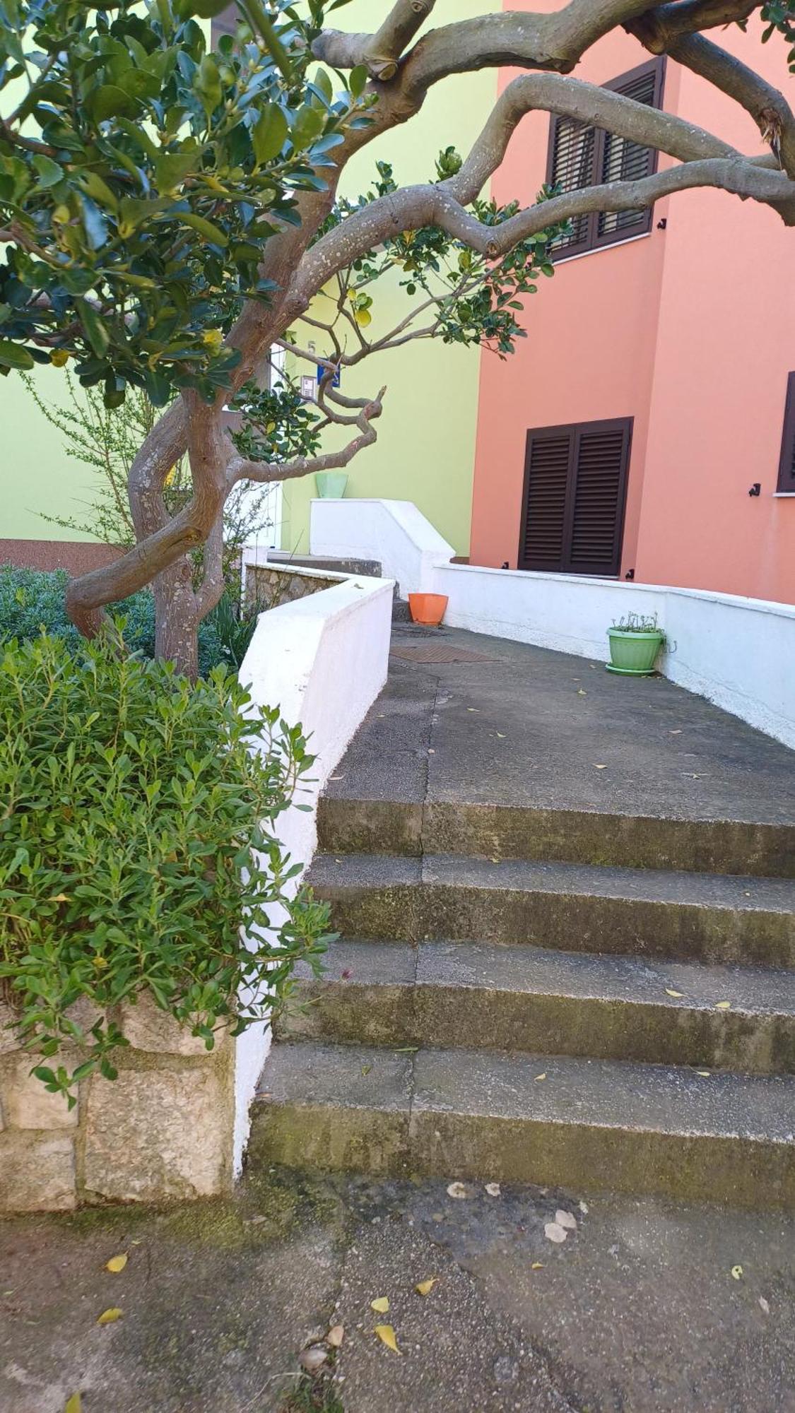 Appartamento Dairos2 Mali Lošinj Esterno foto